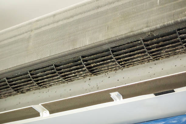 Best HVAC System Cleaning  in Pinch, WV